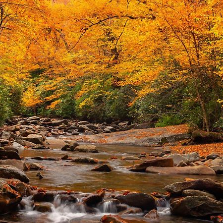Romantic, Honeymoon Cabin In The Smokies! Gatlinburg Extérieur photo