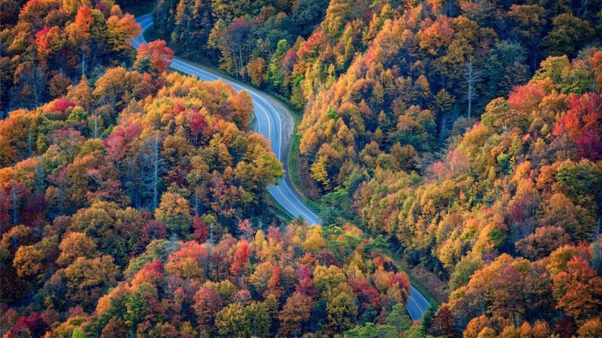 Romantic, Honeymoon Cabin In The Smokies! Gatlinburg Extérieur photo